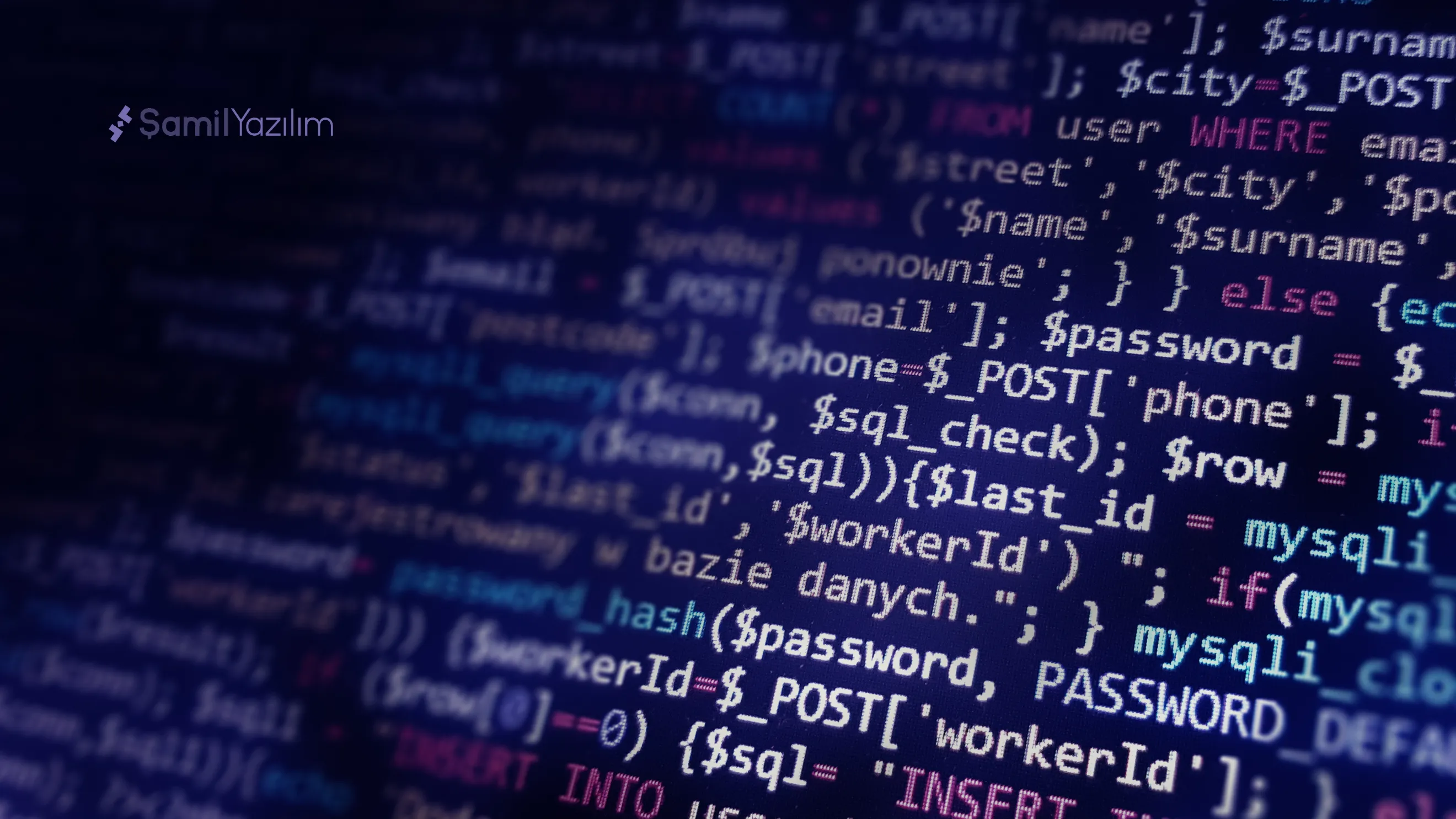 Software Development Process: Custom Software Development